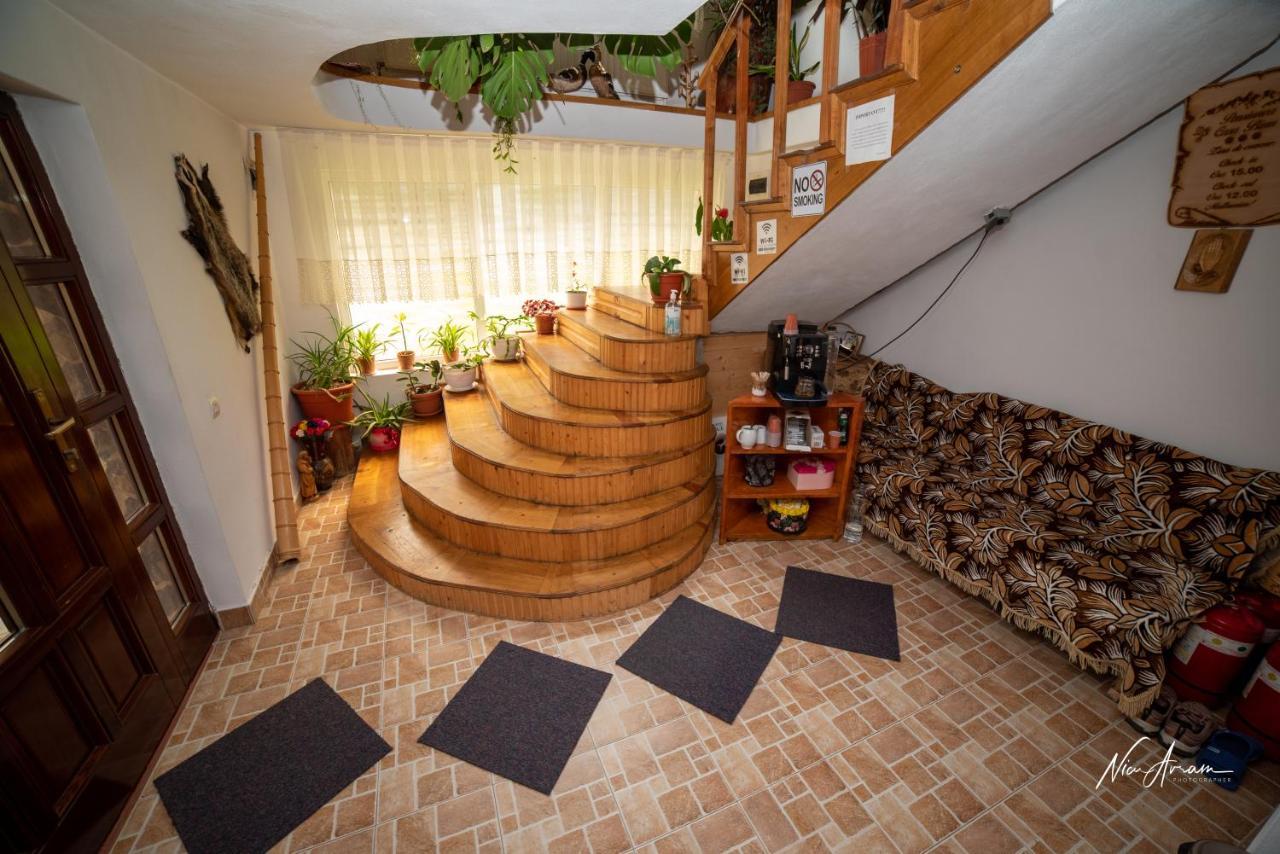 Casa Binu Hotel Arieşeni Екстериор снимка