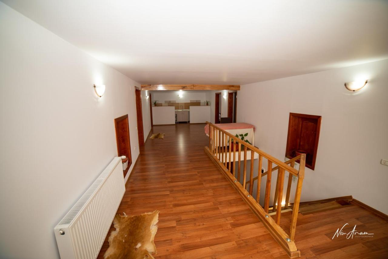 Casa Binu Hotel Arieşeni Екстериор снимка