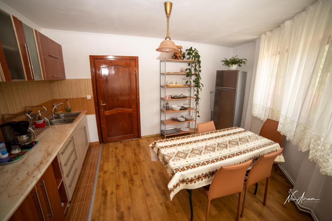 Casa Binu Hotel Arieşeni Екстериор снимка