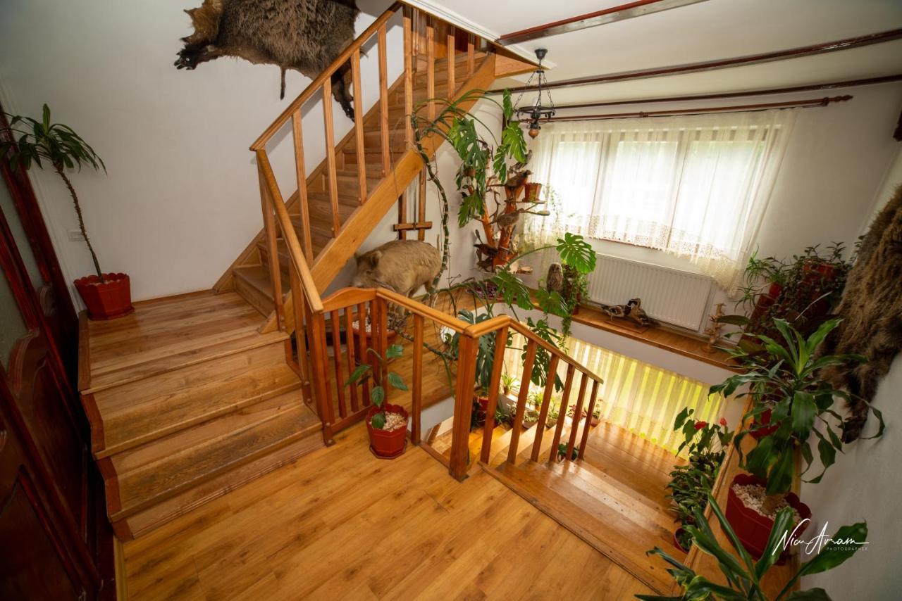 Casa Binu Hotel Arieşeni Екстериор снимка