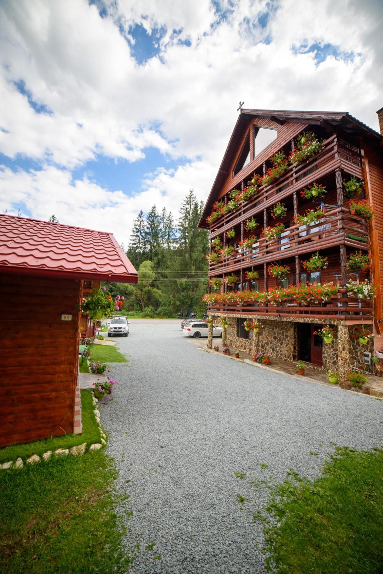 Casa Binu Hotel Arieşeni Екстериор снимка
